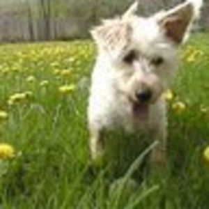 Meet your Posher, Marci